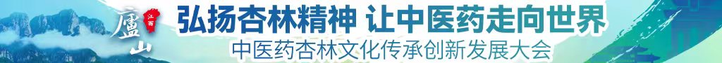 大鸡巴肏屄精品在线视频中医药杏林文化传承创新发展大会